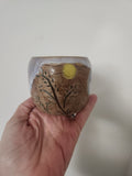 Planter