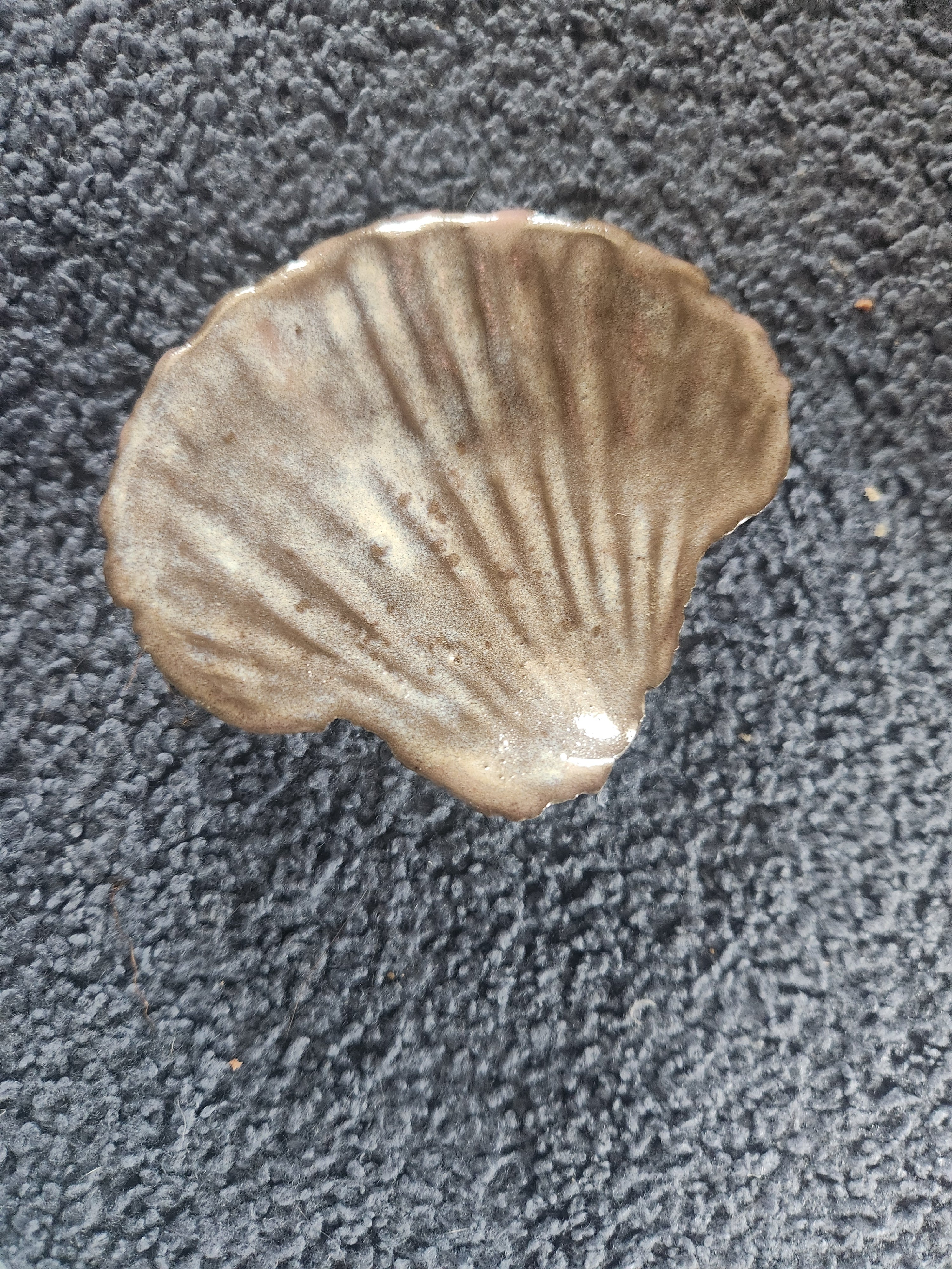 shell