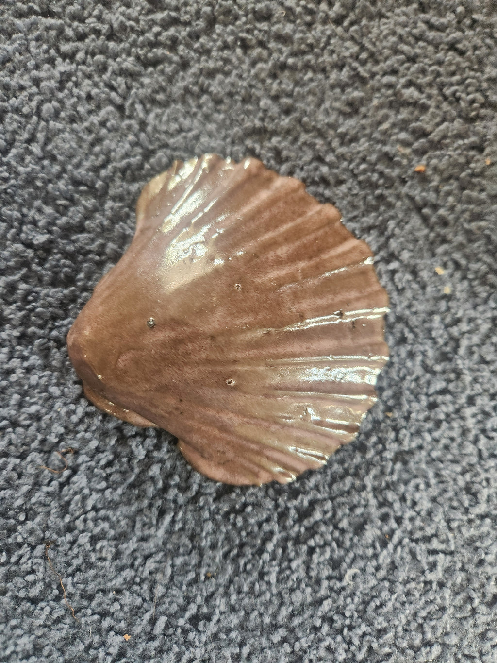 shell